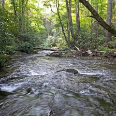 Riverbend Den | 2BR Creekfront Cabin Rental | Blue Ridge GA | Creekfront Living
