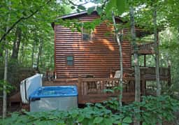 2BR Dog-Friendly Cabin Rental | Blue Ridge GA | Fireplace, Firepit & Hot Tub