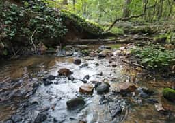Laurel Creek- Creekfront- Hot Tub- Wi-Fi- Pet friendly, Fireplace, Firepit, Creekfront