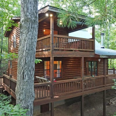 2BR Dog-Friendly Cabin Rental | Blue Ridge GA | Fireplace, Firepit & Hot Tub