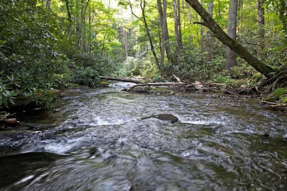 Riverbend Den | 2BR Creekfront Cabin Rental | Blue Ridge GA | Creekfront Living - Image 1