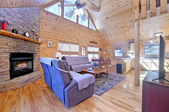 No Agenda Cabin | Pet-Friendly Blue Ridge Cabin with Hot Tub & Firepit