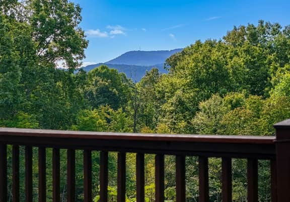 Work Hard Play Hard- Blue Ridge-Views -Wifi - Image 2