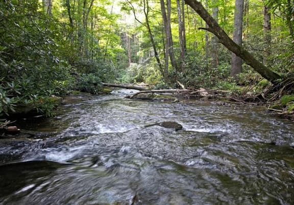 Riverbend Den | 2BR Creekfront Cabin Rental | Blue Ridge GA | Creekfront Living