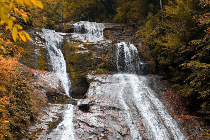 Laurel Falls